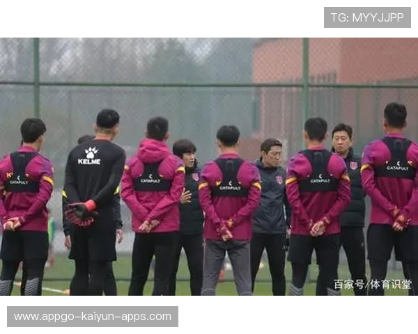 成都蓉城遭误判争议再起：足球场上的公平与争议